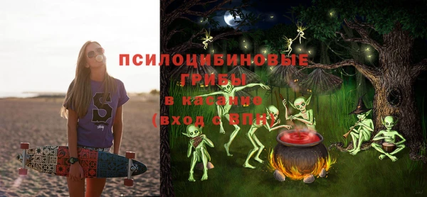 дмт Аркадак