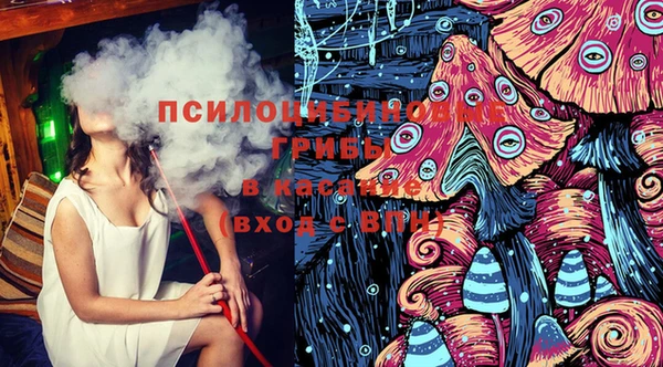 дмт Аркадак